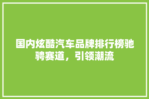 国内炫酷汽车品牌排行榜驰骋赛道，引领潮流