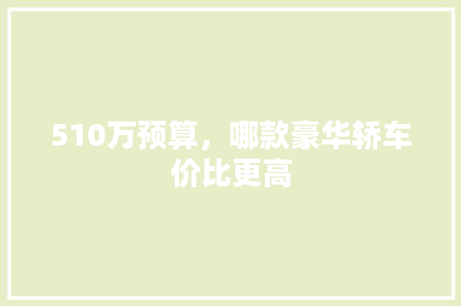 510万预算，哪款豪华轿车价比更高  第1张