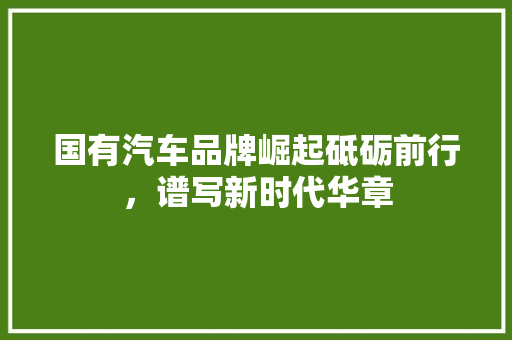 国有汽车品牌崛起砥砺前行，谱写新时代华章