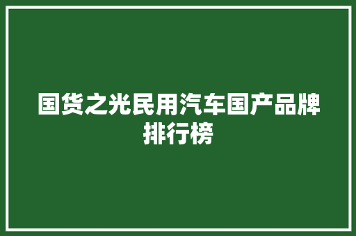 国货之光民用汽车国产品牌排行榜