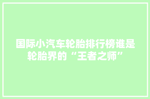 国际小汽车轮胎排行榜谁是轮胎界的“王者之师”  第1张