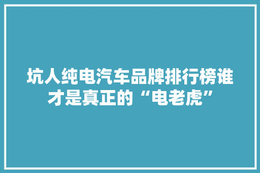 坑人纯电汽车品牌排行榜谁才是真正的“电老虎”