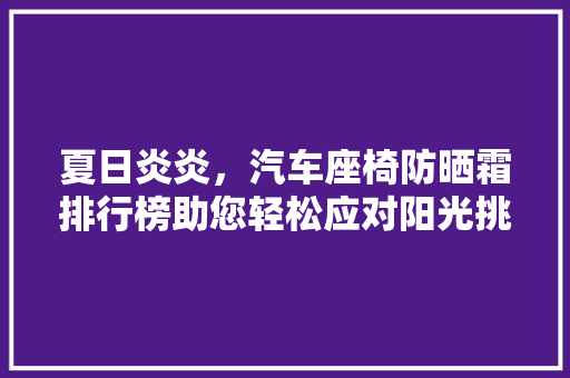 夏日炎炎，汽车座椅防晒霜排行榜助您轻松应对阳光挑战