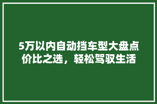 5万以内自动挡车型大盘点价比之选，轻松驾驭生活