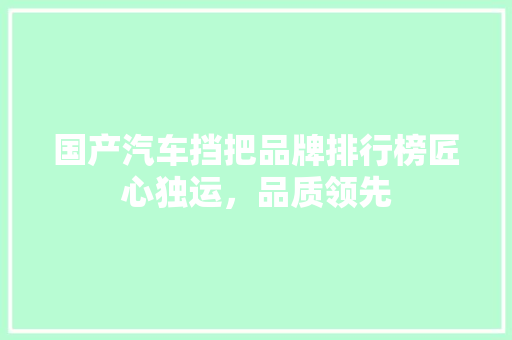 国产汽车挡把品牌排行榜匠心独运，品质领先