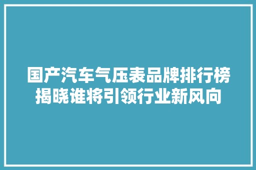 国产汽车气压表品牌排行榜揭晓谁将引领行业新风向