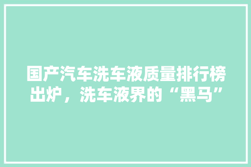国产汽车洗车液质量排行榜出炉，洗车液界的“黑马”！