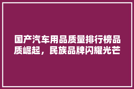 国产汽车用品质量排行榜品质崛起，民族品牌闪耀光芒