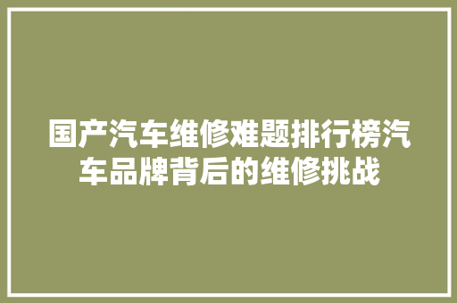 国产汽车维修难题排行榜汽车品牌背后的维修挑战
