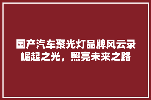国产汽车聚光灯品牌风云录崛起之光，照亮未来之路