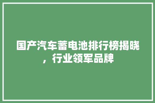 国产汽车蓄电池排行榜揭晓，行业领军品牌