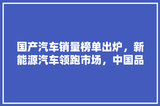 国产汽车销量榜单出炉，新能源汽车领跑市场，中国品牌崛起之路愈发清晰
