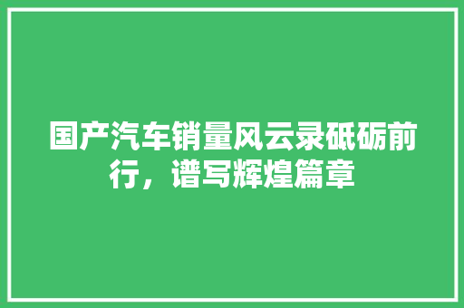 国产汽车销量风云录砥砺前行，谱写辉煌篇章