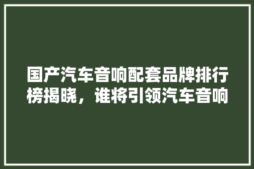 国产汽车音响配套品牌排行榜揭晓，谁将引领汽车音响新潮流