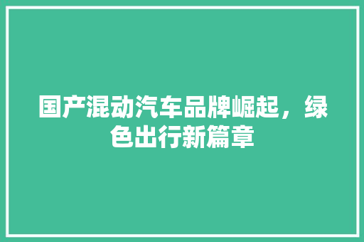 国产混动汽车品牌崛起，绿色出行新篇章