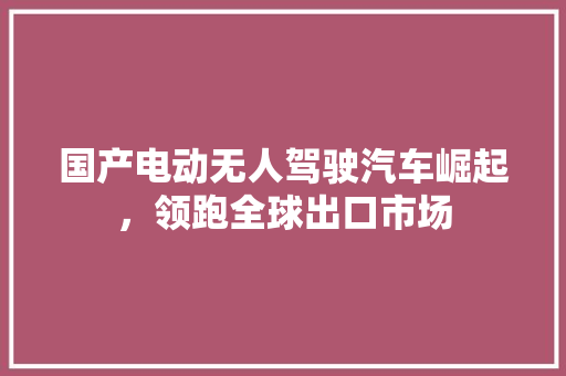 国产电动无人驾驶汽车崛起，领跑全球出口市场