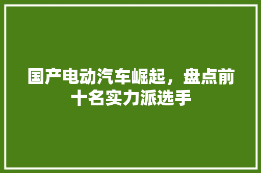 国产电动汽车崛起，盘点前十名实力派选手