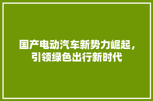 国产电动汽车新势力崛起，引领绿色出行新时代