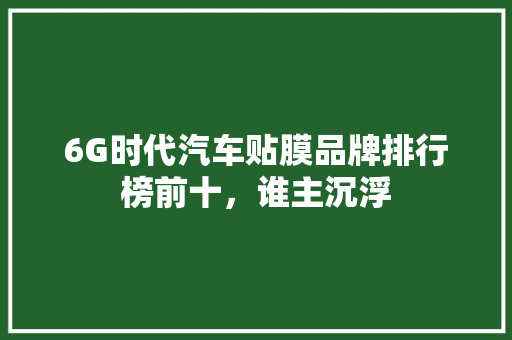 6G时代汽车贴膜品牌排行榜前十，谁主沉浮