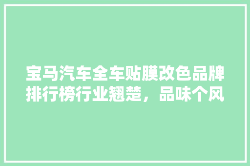 宝马汽车全车贴膜改色品牌排行榜行业翘楚，品味个风采