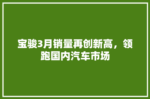 宝骏3月销量再创新高，领跑国内汽车市场