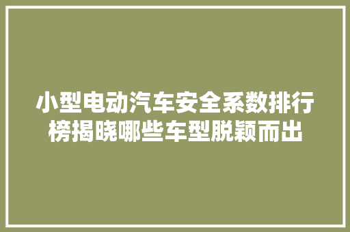 小型电动汽车安全系数排行榜揭晓哪些车型脱颖而出