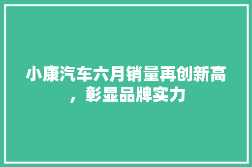 小康汽车六月销量再创新高，彰显品牌实力