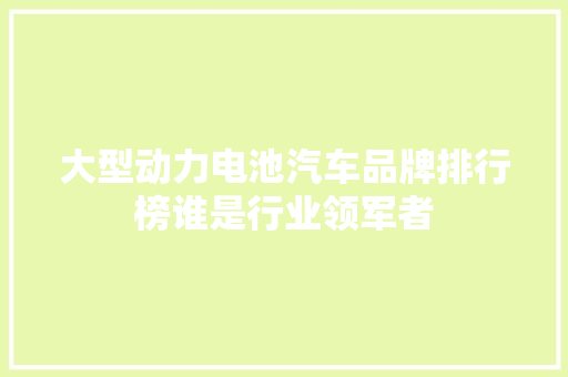 大型动力电池汽车品牌排行榜谁是行业领军者  第1张