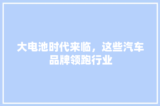 大电池时代来临，这些汽车品牌领跑行业