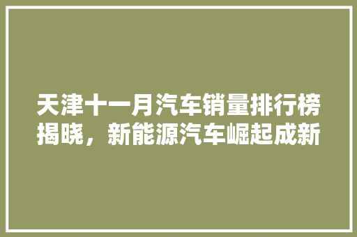 天津十一月汽车销量排行榜揭晓，新能源汽车崛起成新趋势