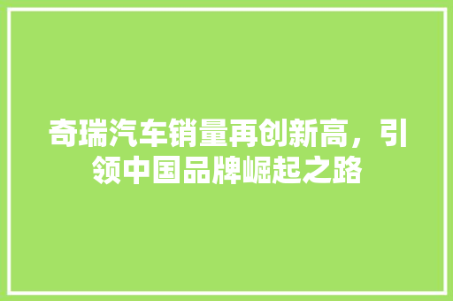 奇瑞汽车销量再创新高，引领中国品牌崛起之路