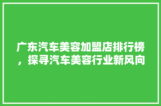广东汽车美容加盟店排行榜，探寻汽车美容行业新风向