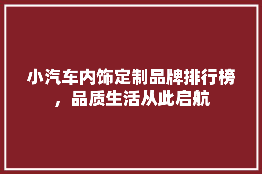 小汽车内饰定制品牌排行榜，品质生活从此启航