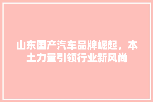 山东国产汽车品牌崛起，本土力量引领行业新风尚
