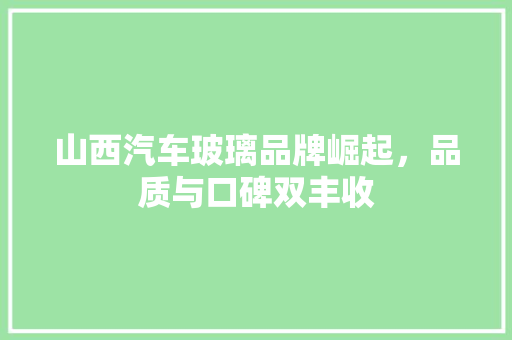 山西汽车玻璃品牌崛起，品质与口碑双丰收