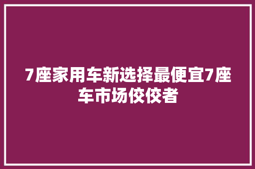 7座家用车新选择最便宜7座车市场佼佼者