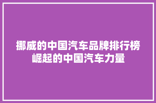 挪威的中国汽车品牌排行榜崛起的中国汽车力量