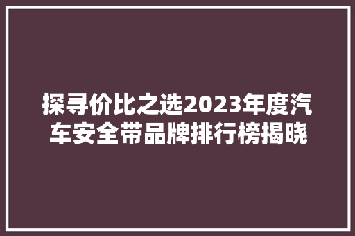 探寻价比之选2023年度汽车安全带品牌排行榜揭晓