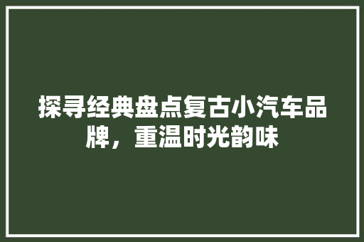 探寻经典盘点复古小汽车品牌，重温时光韵味