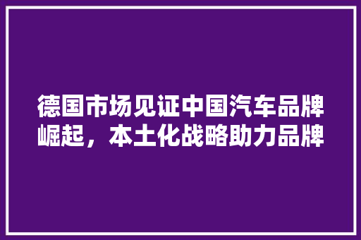 德国市场见证中国汽车品牌崛起，本土化战略助力品牌腾飞