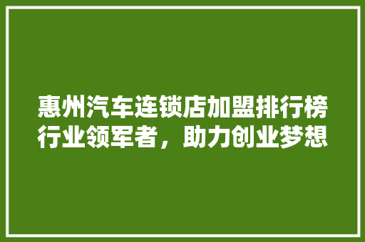 惠州汽车连锁店加盟排行榜行业领军者，助力创业梦想腾飞