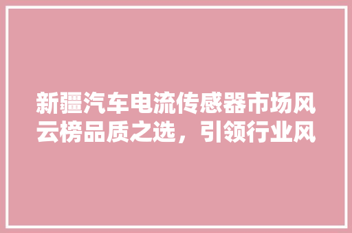 新疆汽车电流传感器市场风云榜品质之选，引领行业风向标  第1张