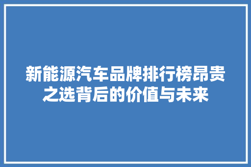 新能源汽车品牌排行榜昂贵之选背后的价值与未来