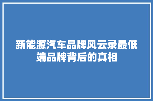 新能源汽车品牌风云录最低端品牌背后的真相