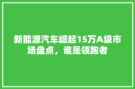 新能源汽车崛起15万A级市场盘点，谁是领跑者  第1张