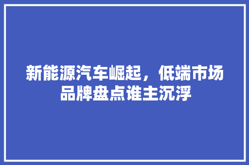 新能源汽车崛起，低端市场品牌盘点谁主沉浮