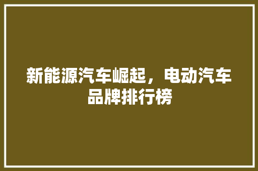 新能源汽车崛起，电动汽车品牌排行榜
