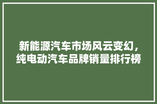 新能源汽车市场风云变幻，纯电动汽车品牌销量排行榜揭晓  第1张