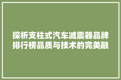 探析支柱式汽车减震器品牌排行榜品质与技术的完美融合