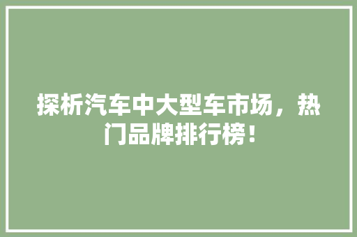 探析汽车中大型车市场，热门品牌排行榜！  第1张